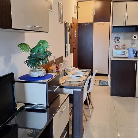 Apartment мм комплекс студиа ,,роза,, *
